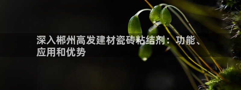 杏鑫平台登录注册