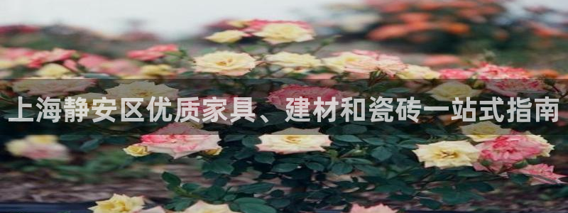杏鑫平台怎么样黑钱吗安全吗可靠吗