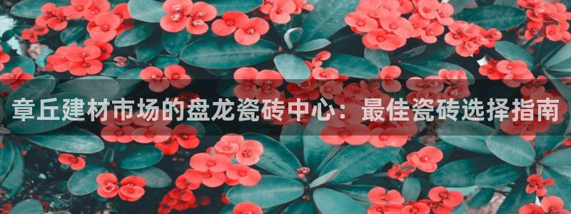 杏鑫平台登录地址