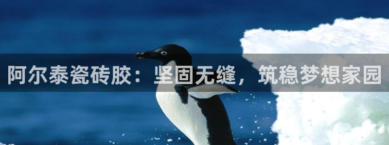 杏鑫平台代理怎么样