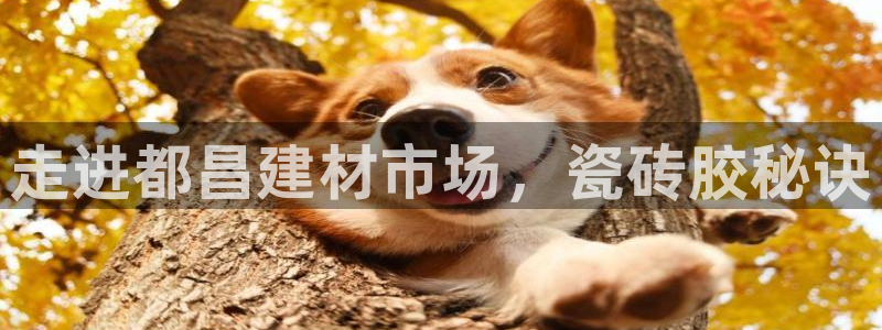 杏鑫登录测速