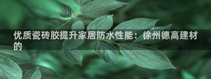 杏鑫平台登录