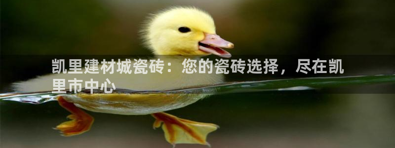 杏鑫平台招商怎么样