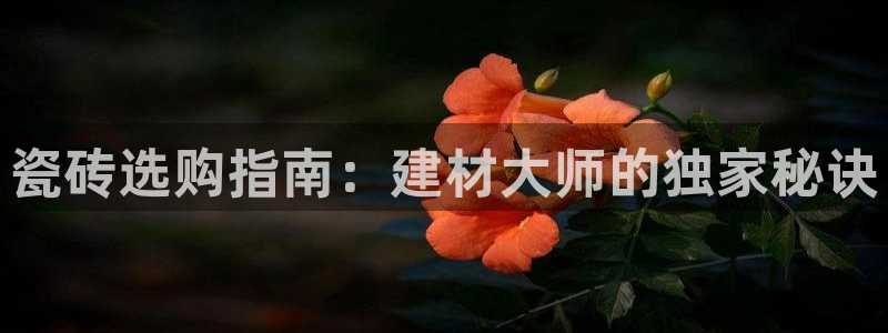 杏鑫平台直属