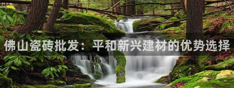 杏鑫平台野马联盟