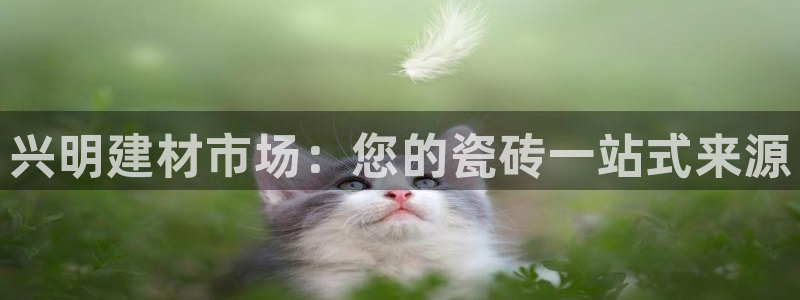 杏鑫平台官方网站