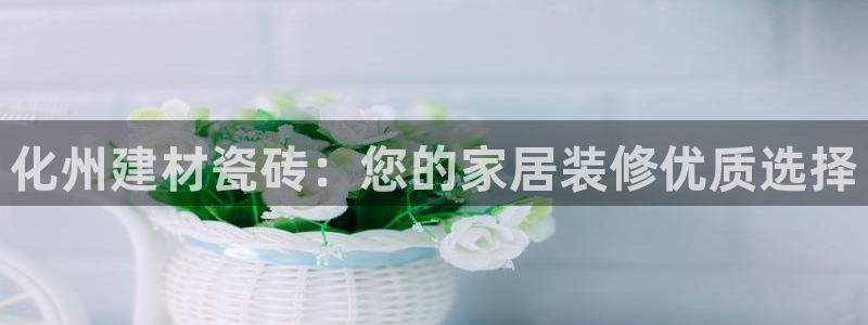 杏鑫注册登录网址是什么