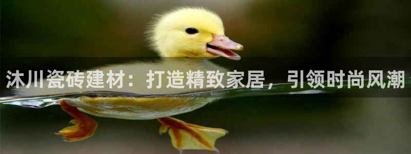 杏鑫3主管