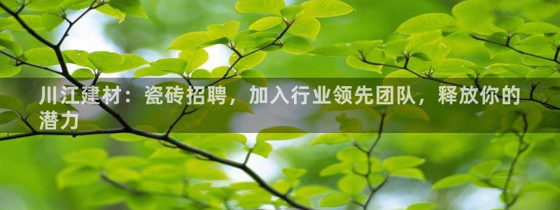 杏鑫官方app代理