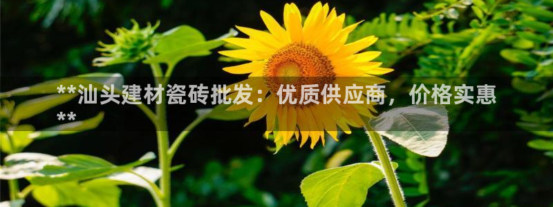杏鑫官方平台怎么样啊可靠吗