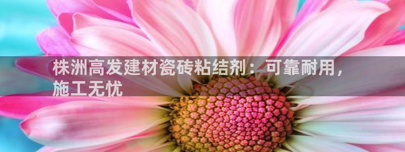 杏鑫平台怎么样黑钱吗